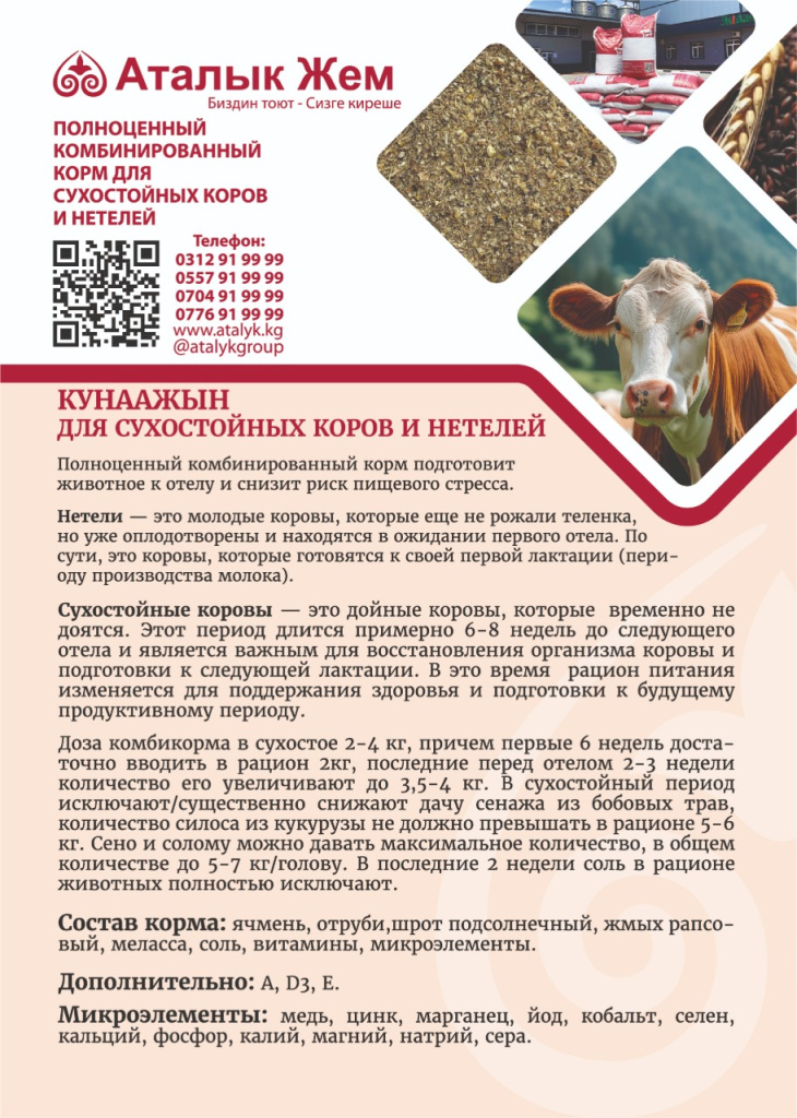 Ресурс 13@300x-100.jpg