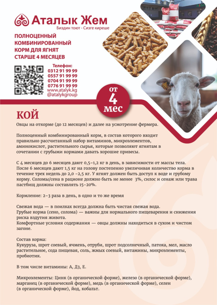 Ресурс 9@300x-100.jpg