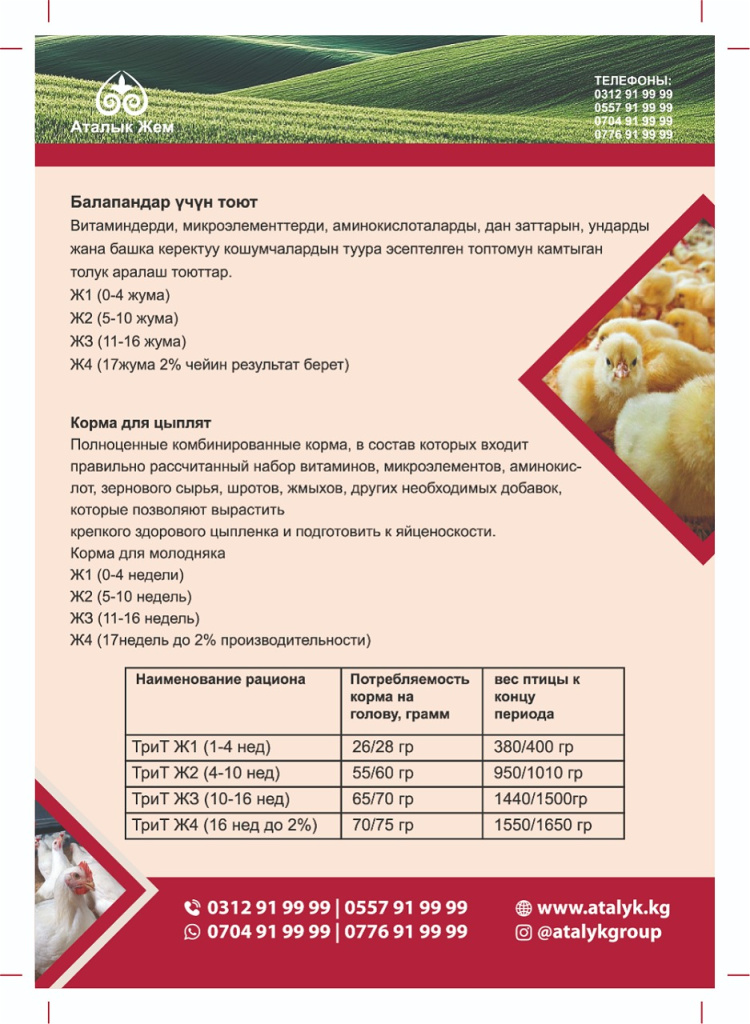 Ресурс 22@300x-100.jpg